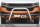 Frontbügel für VW T6.1 2019- 70mm Frontschutzbügel Gutachten