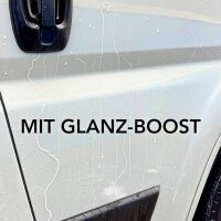 CLEANOFANT Sprühversiegelung 2,3L...