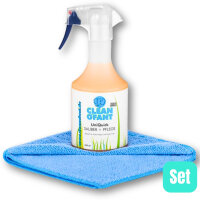 CLEANOFANT UniQuick SAUBER+PFLEGE + Premium-Mikrofasertuch