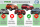 Frontbügel mit Unterfahrschutz für KIA Sportage 2018-2021 70mm Frontschutzbügel Gutachten