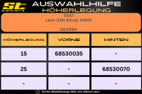 ST Höherlegung für Seat Leon 1M Allrad, HA 25mm