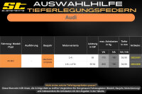 ST Tieferlegungsfedern für Audi A2 8Z 1.6i 1.4TDi 30/30mm