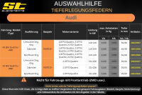 ST Tieferlegungsfedern für Audi A3 8V Sportback 2.0TDi Quattro 30/30mm