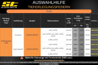 ST Tieferlegungsfedern für Audi A4 8E Quattro Limousine 1.8T 2.0TFSi 30/30mm