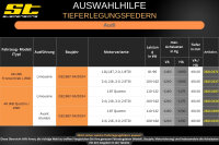ST Tieferlegungsfedern für Audi A6 4B 2WD Limousine 1.8i,1.8T 2.0 1.9TDi 40/40mm