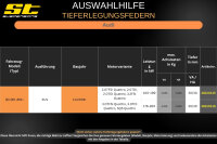 ST Tieferlegungsfedern für Audi Q5 8R 8R1 SUV 3.0TFSI/3.0TDI Quattro SQ5 30/30mm