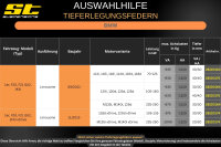 ST Tieferlegungsfedern für BMW 1er F20 F21 xDrive Limousine 118d / 120d 30/30mm