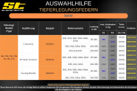 ST Tieferlegungsfedern für BMW 3er F34 GT Gran Turismo 335i 340i 325d 30/30mm