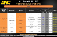 ST Tieferlegungsfedern für BMW 4er F32 Coupe 420i 428i 420d 30/20mm