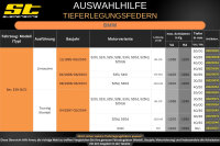 ST Tieferlegungsfedern für BMW 5er E39 Touring Kombi 525d 530d 30/30mm