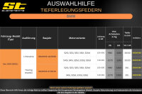 ST Tieferlegungsfedern für BMW 5er E60 Limousine 525i 530i 520d 30/30mm