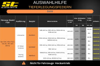 ST Tieferlegungsfedern für BMW 5er Touring Kombi 530d xDrive 535d xDrive 30/..mm