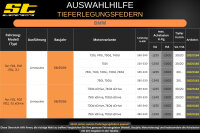 ST Tieferlegungsfedern für BMW 7er F01 F02 750i 750Li 30/..mm