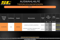 ST Tieferlegungsfedern für BMW X2 F39 1.8i 2.0i 1.8d sDrive 30/30mm