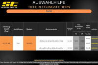 ST Tieferlegungsfedern für BMW X3 F25 2.0i xDrive 2.8i xDrive 2.0d 30/30mm
