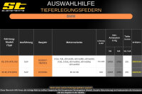 ST Tieferlegungsfedern für BMW X5 E70 X70 X5 xDrive35i / 48i / 50i 20/..mm