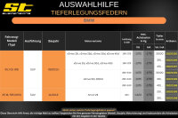 ST Tieferlegungsfedern für BMW X5 M E70 M7X M 4.4 V8 20/..mm