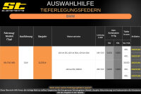 ST Tieferlegungsfedern für BMW X6 F16 xDrive 35i xDrive 30d xDrive 40d 40/..mm