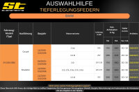 ST Tieferlegungsfedern für BMW Z4 E85 Coupe 3.2 M 20/10mm