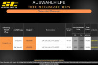 ST Tieferlegungsfedern für Chevrolet Cruze SW Kombi 1.4T 1.6i 1.8i 30/30mm