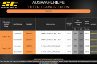 ST Tieferlegungsfedern für Dacia Logan II SD Limousine 0.9TCe 1.0TCe 30/30mm