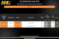 ST Tieferlegungsfedern für Dacia Sandero II SD Limousine 1.2MPi 1.5dCi 30/30mm