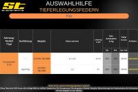 ST Tieferlegungsfedern für Fiat Cinquecento 170 0.7 0.9 40/40mm