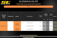 ST Tieferlegungsfedern für Ford Fiesta JD. JH. 2.0i 16V ST150 30/30mm