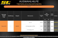 ST Tieferlegungsfedern für Ford Fiesta JHH 1.0i Automatik 1.5TDCi 30/30mm