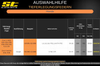ST Tieferlegungsfedern für Honda Civic V EG3 EG4 EG5 EG6 EG8 30/30mm
