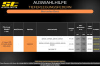 ST Tieferlegungsfedern für Mercedes Benz A-Klasse W176 A45 4MATIC 20/20mm