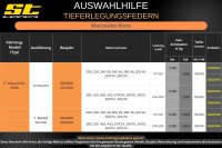 ST Tieferlegungsfedern für Mercedes Benz E-Klasse W210 T- Modell Kombi 40/40mm 2