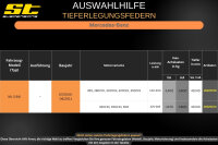 ST Tieferlegungsfedern für Mercedes Benz ML W164 420CDi 450CDi 500 40/40mm