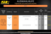 ST Tieferlegungsfedern für Mini one Cooper &S F56 1.2i 1.5i 2.0i 30/30mm