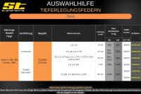 ST Tieferlegungsfedern für Opel Astra G T98 2.0Di 2.0DTi 2.2DTi 40/20mm