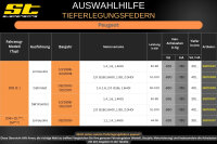 ST Tieferlegungsfedern für Peugeot 206 Cabriolet 1.4 1.6 2.0 S16 1.6HDi 40/..mm