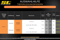ST Tieferlegungsfedern für Peugeot 306 SW Kombi 1.9D 1.9TD 1.9HDi 30/..mm