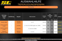 ST Tieferlegungsfedern für Porsche Boxster S 987 2.7 S3.2 S3.4 30/30mm
