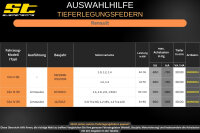 ST Tieferlegungsfedern für Renault Clio III R Limousine 1.5dCi 30/30mm