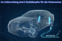 2 Stoßdämpfer B6 Offroad hinten für Chevrolet Astro Kasten