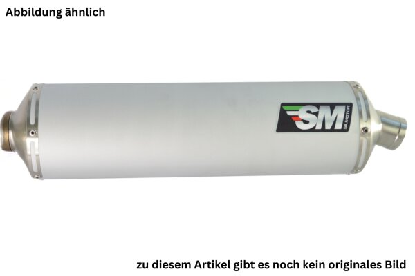 SilMotor Slip-on Auspuff oval untenliegend VA/gebürstet für Honda CBR 600 F (01-05)