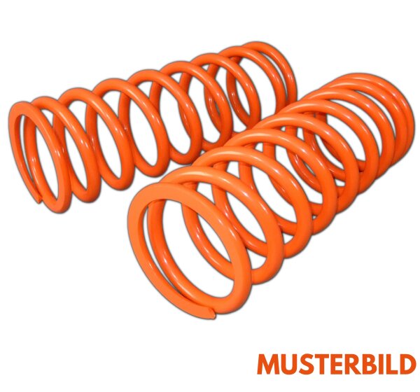 Trailmaster Höherlegungsfedern vorne für Jeep Grand Cherokee ZJ +50mm VA