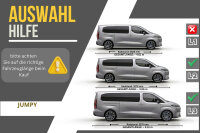 Schwellerrohre mit ABE für Citroën Jumpy 2016+ L2/3 Matt GM