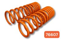 Trailmaster 2x Höherlegungsfedern Hinten für...