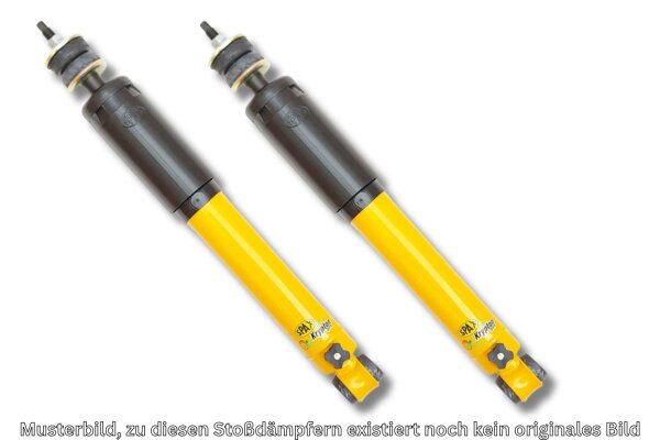 SPAX Stoßdämpfer härteverstellbar PSX für Renault 4 VORNE VA
