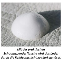 COLOURLOCK Lederpflege Set Glattleder + Leder Protector Auto Möbel 11004