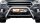 Frontbügel für Ford Kuga DM2 II 2016-2019 60mm Frontschutzbügel Edelstahl Gutachten